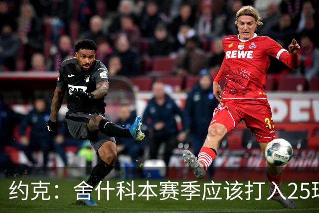 约克：舍什科本赛季应该打入25球，这点甚至应该写进他的合同里