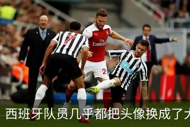 西班牙队员几乎都把头像换成了大力神杯照片，除了一位中二小孩